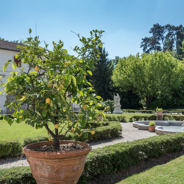 Parco Villa Ca Marcello