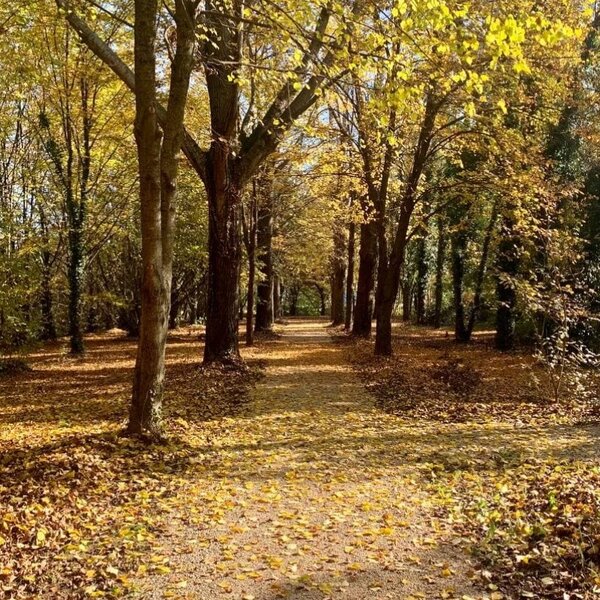 Oasi Rossato e Parco Guizze